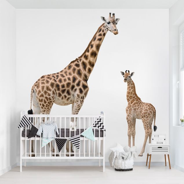 Fototapeter giraffer Giraffe Mother And Child