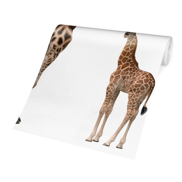 Tapeter Giraffe Mother And Child