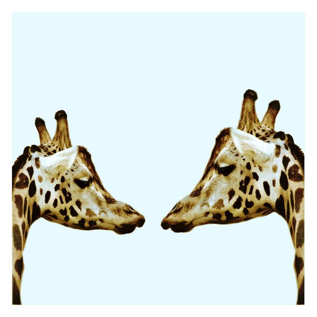 Tapeter Giraffes In Love