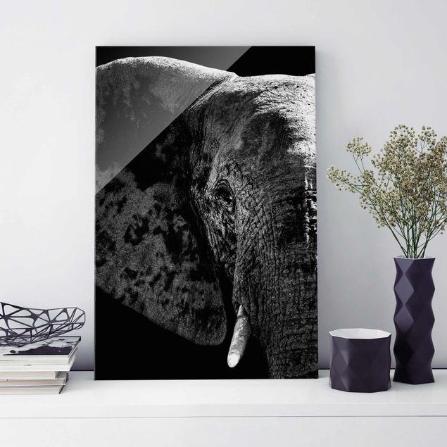 Tavlor elefanter African Elephant black & white