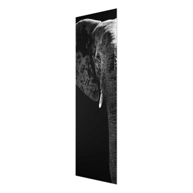 Tavlor svart och vitt African Elephant black & white