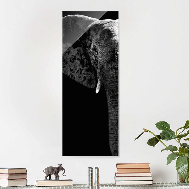 Tavlor elefanter African Elephant black & white