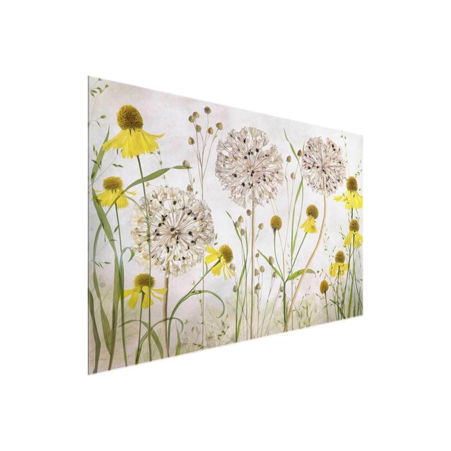 Tavlor blommor Allium And Helenium Illustration
