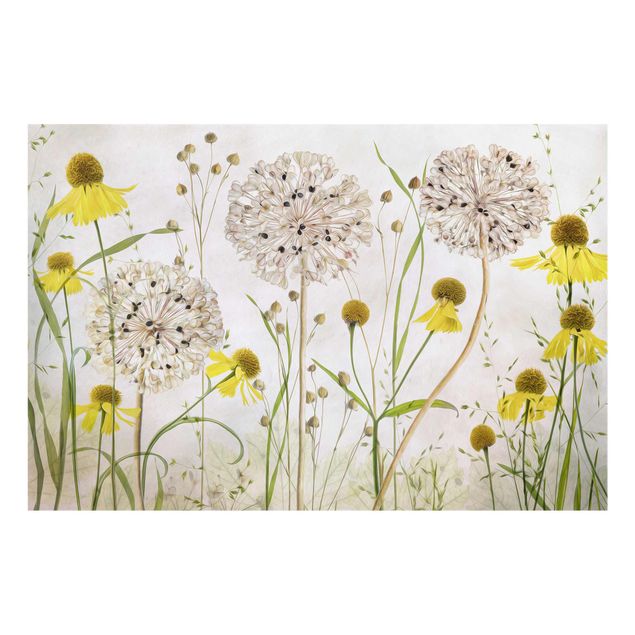 Tavlor blommor  Allium And Helenium Illustration
