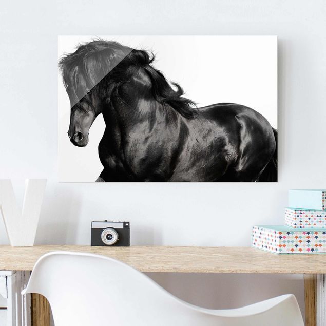 Kök dekoration Arabian Stallion