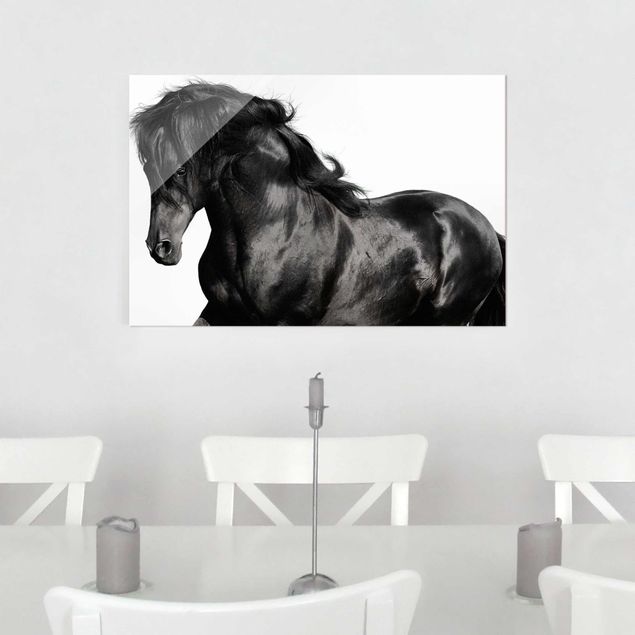 Glastavlor svart och vitt Arabian Stallion