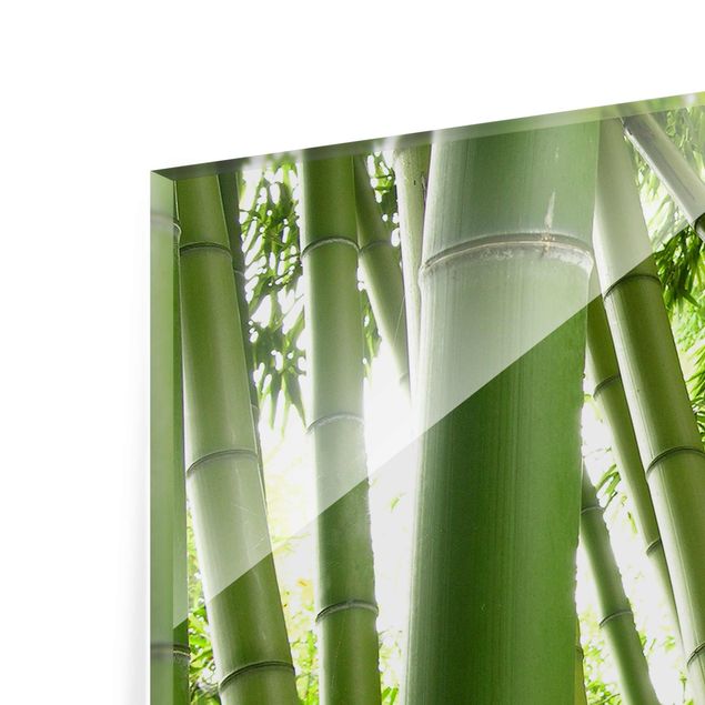Tavlor Bamboo Trees No.1