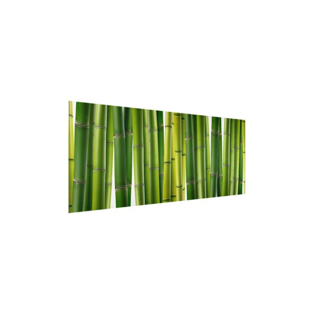 Tavlor blommor Bamboo Plants