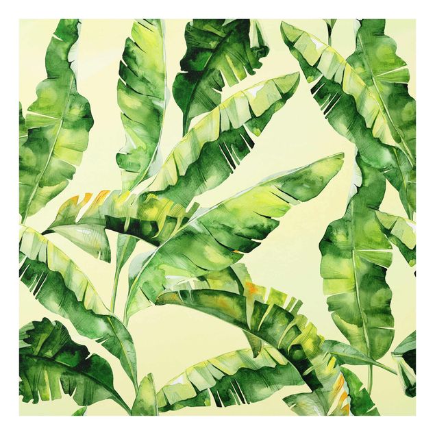 Tavlor grön Banana Leaves Watercolour