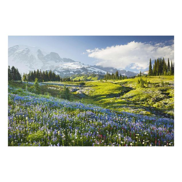 Tavlor bergen Mountain Meadow With Blue Flowers in Front of Mt. Rainier