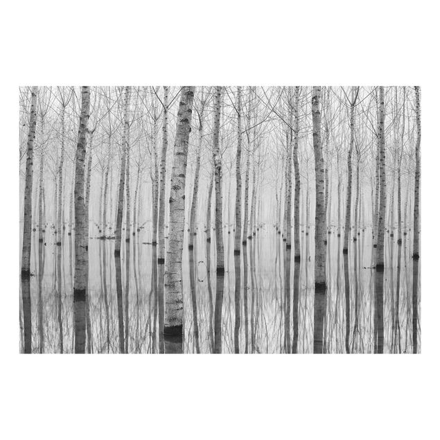 Glastavlor landskap Birches In November