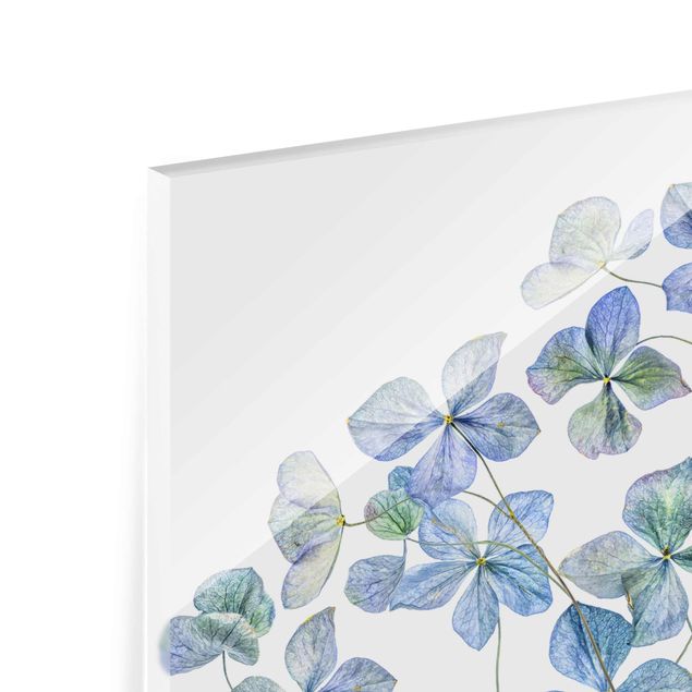 Glas Magnetboard Blue Hydrangea Flowers