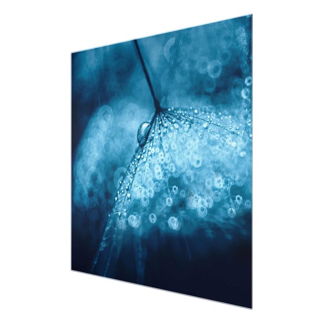Tavlor blå Blue Dandelion In The Rain