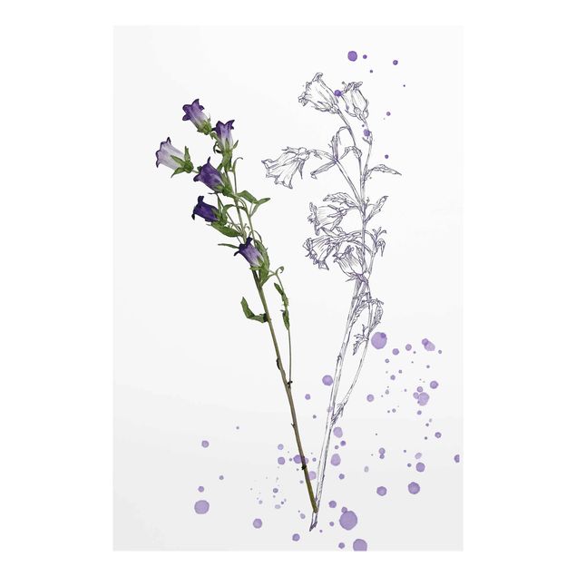 Tavlor Botanical Watercolour - Bellflower