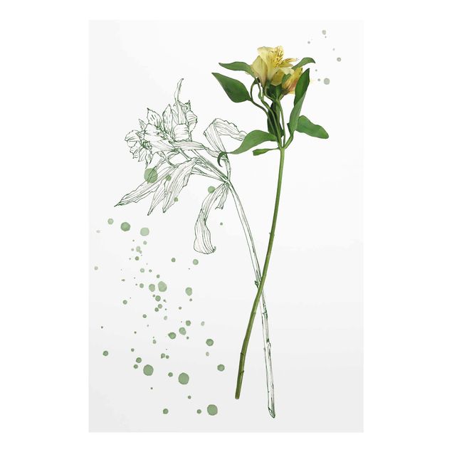Tavlor Botanical Watercolour - Lily