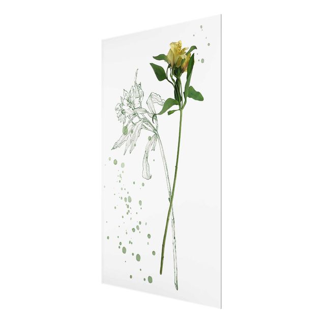 Glas Magnettavla Botanical Watercolour - Lily