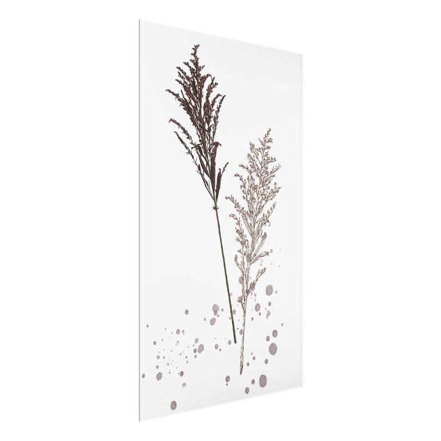 Tavlor blommor  Botanical Watercolour - Fescue Reed