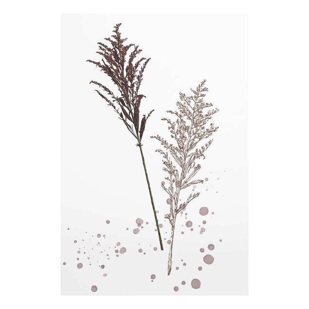 Tavlor Botanical Watercolour - Fescue Reed