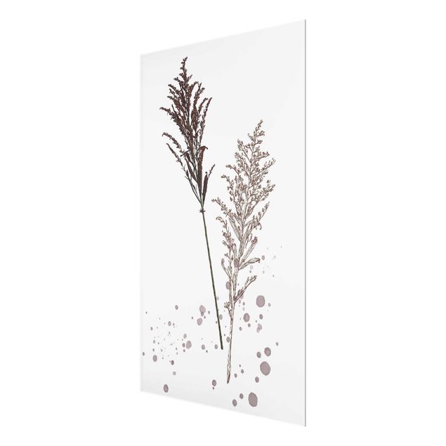Glas Magnetboard Botanical Watercolour - Fescue Reed