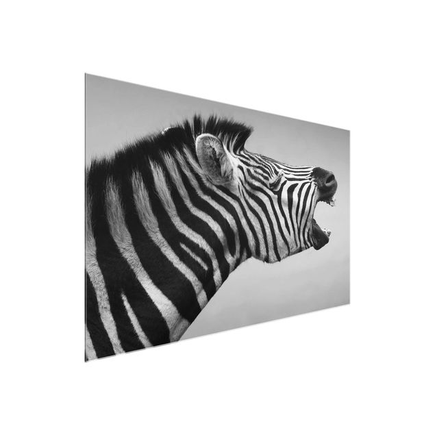Glastavlor djur Roaring Zebra ll