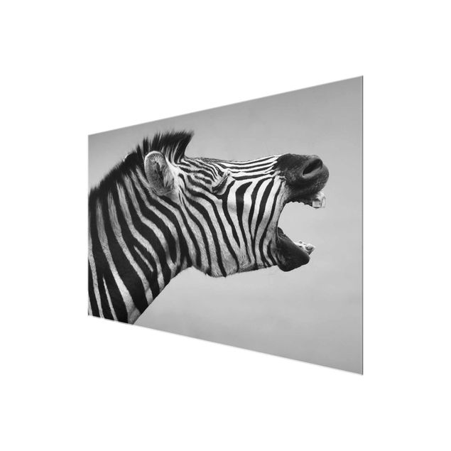 Tavlor svart och vitt Roaring Zebra ll