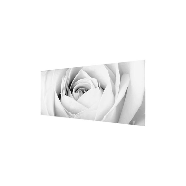 Glastavlor svart och vitt Close Up Rose