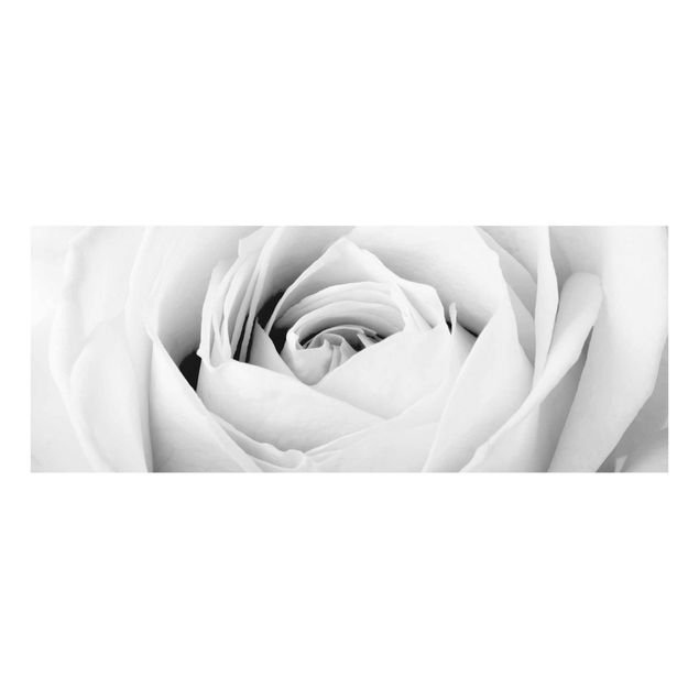 Tavlor blommor Close Up Rose
