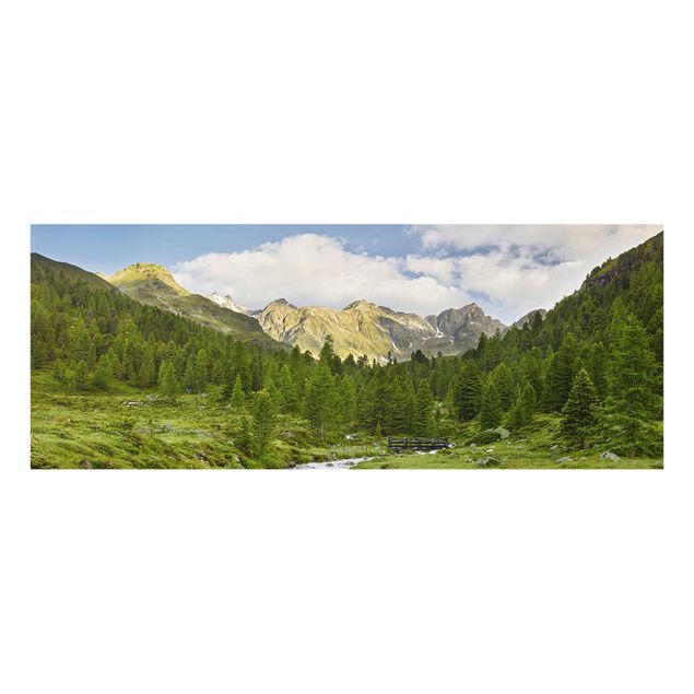 Tavlor landskap Debanttal Hohe Tauern National Park