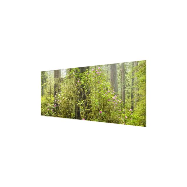 Tavlor modernt Del Norte Coast Redwoods State Park California