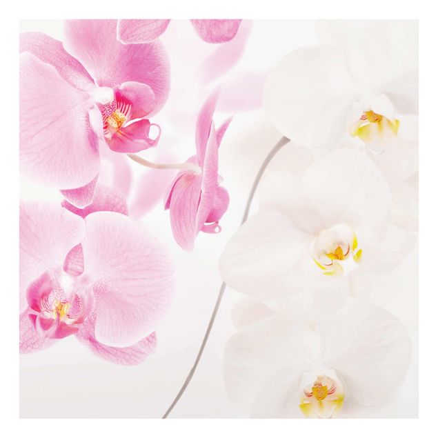 Glastavlor blommor  Delicate Orchids