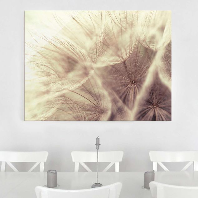 Glastavlor blommor  Detailed Dandelion Macro Shot With Vintage Blur Effect