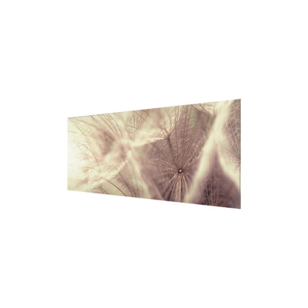 Tavlor Detailed Dandelion Macro Shot With Vintage Blur Effect