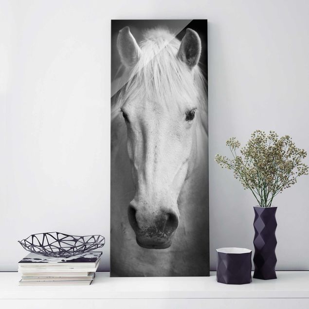 Kök dekoration Dream Of A Horse