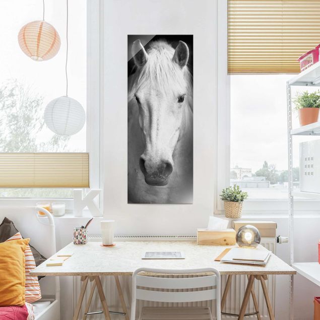 Glastavlor svart och vitt Dream Of A Horse
