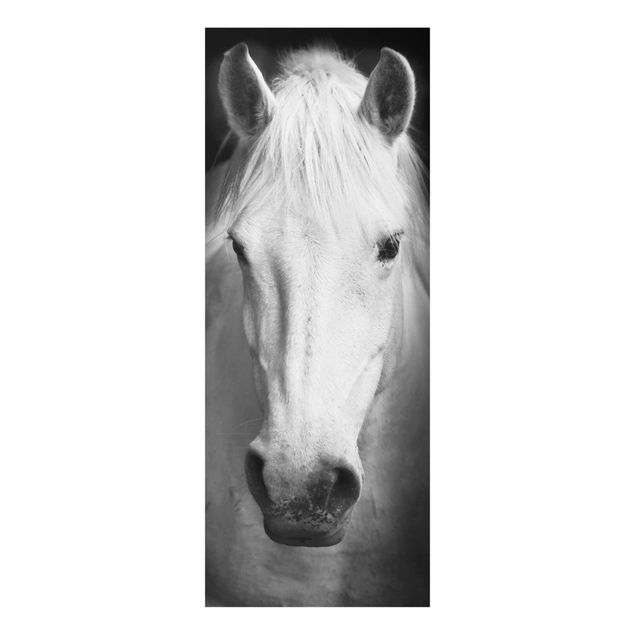 Tavlor svart och vitt Dream Of A Horse