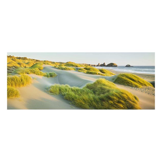 Tavlor hav Dunes And Grasses At The Sea