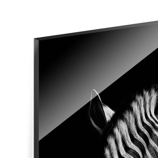 Tavlor Dark Zebra Silhouette