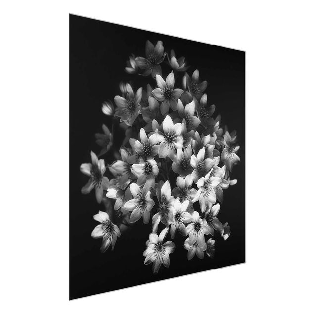 Tavlor blommor Dark Clematis Bunch