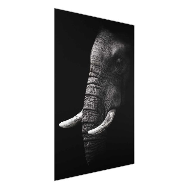 Glastavlor svart och vitt Dark Elephant Portrait