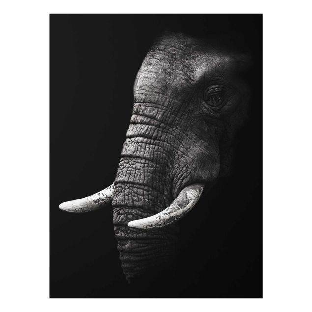 Glastavlor landskap Dark Elephant Portrait
