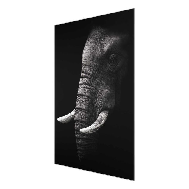 Glastavlor djur Dark Elephant Portrait