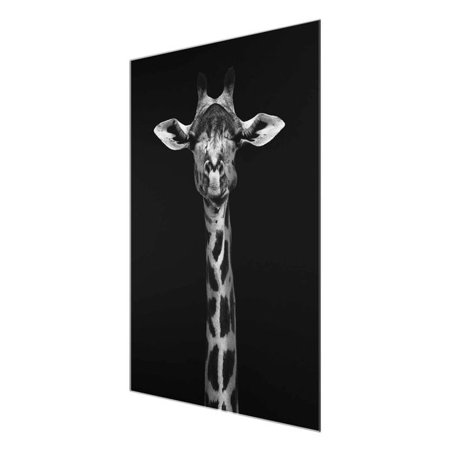Tavlor svart och vitt Dark Giraffe Portrait