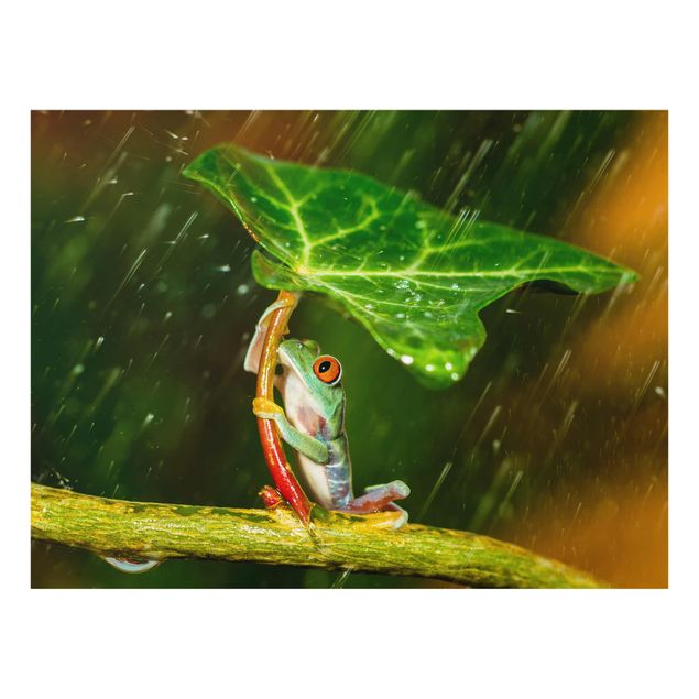 Tavlor grön Frog In The Rain