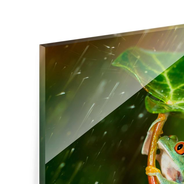 Magnettafel Glas Frog In The Rain