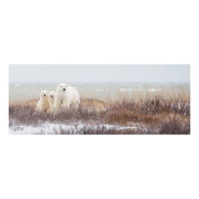 Tavlor djur Polar Bear And Her Cubs