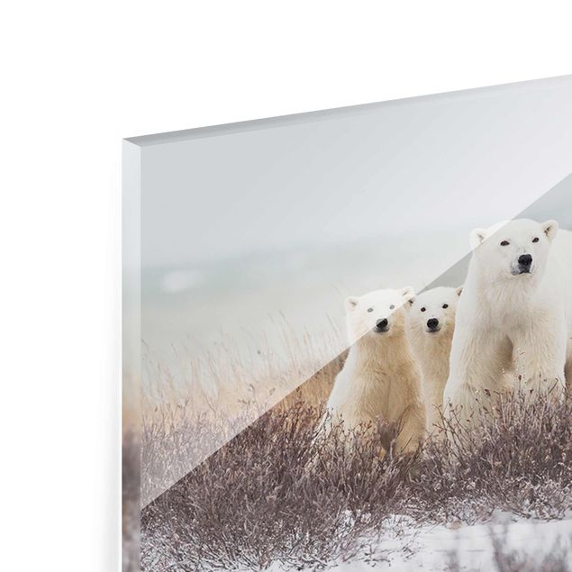 Magnettafel Glas Polar Bear And Her Cubs