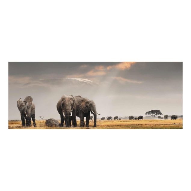 Glastavlor djur Elephants in the Savannah