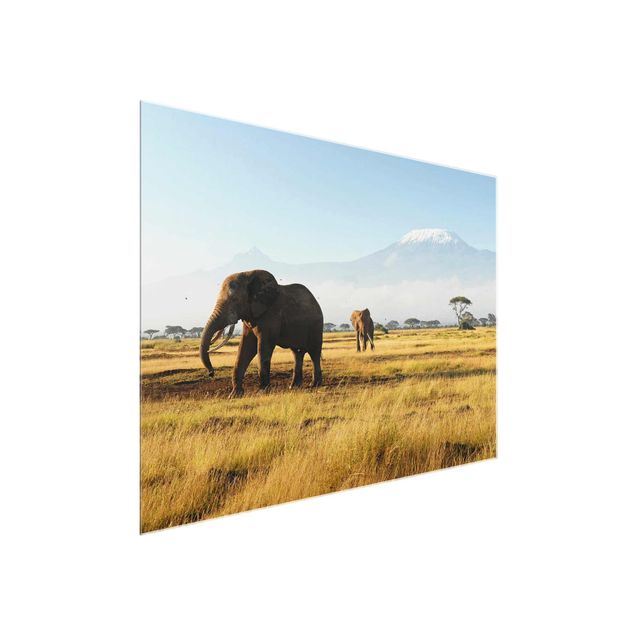 Glastavlor landskap Elephants In Front Of The Kilimanjaro In Kenya