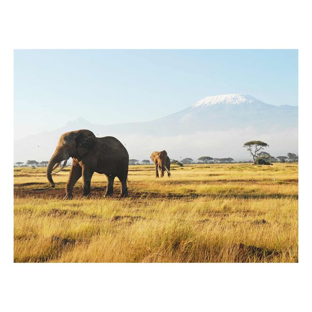Glastavlor djur Elephants In Front Of The Kilimanjaro In Kenya