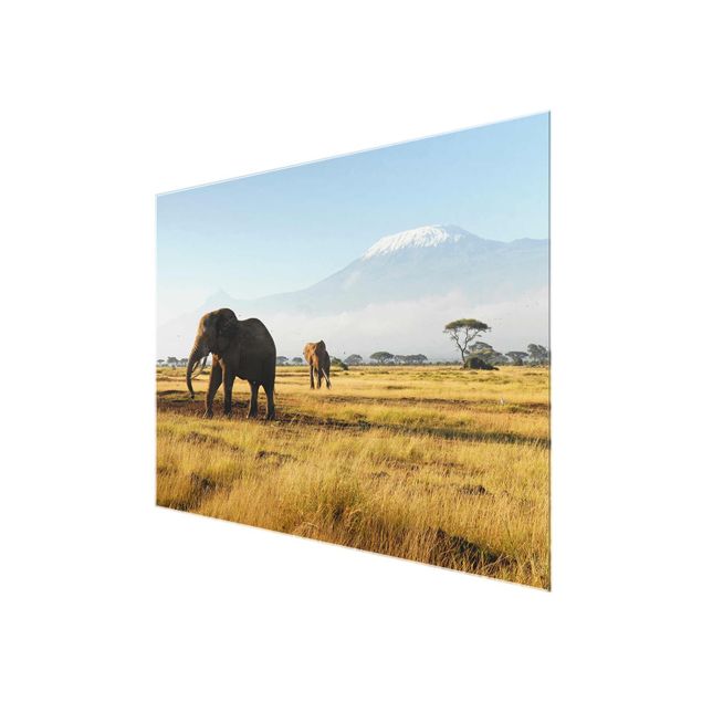 Glastavlor landskap Elephants In Front Of The Kilimanjaro In Kenya